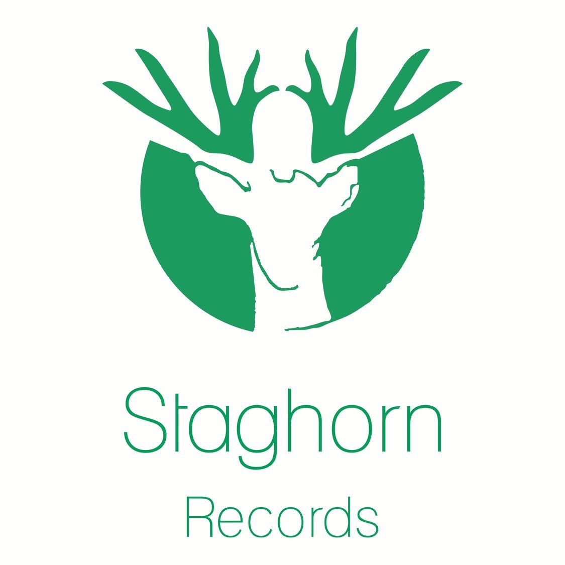 Staghorn Recordsの写真